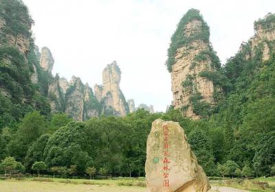 走湘西——張家界、鳳凰古城游記(一)
