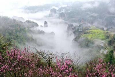 候鳥的選擇，彰顯湖南生態(tài)系統(tǒng)持續(xù)優(yōu)化